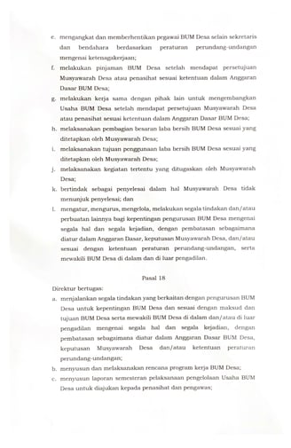 Halaman 13 - Anggaran Dasar BUMDes Idaman Sejati