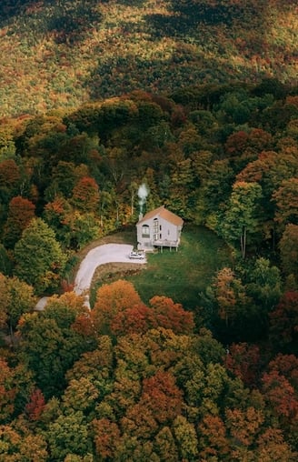 house in the middle of the forest