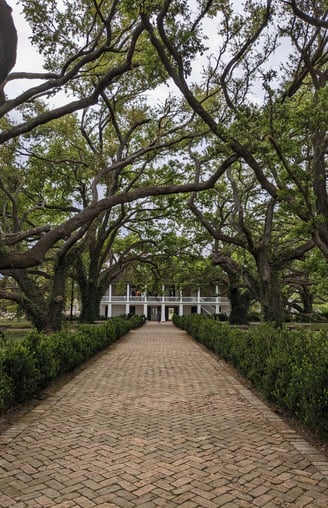 plantation-house-louisiana-trees