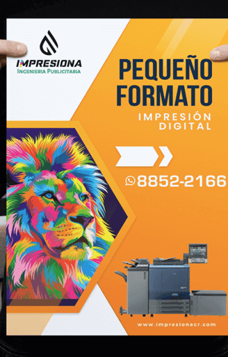 AvantiRed crea tabloides promocionales