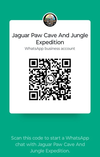 scan to get chat today - jaguar paw