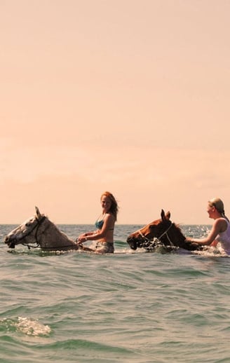 swimming with horse