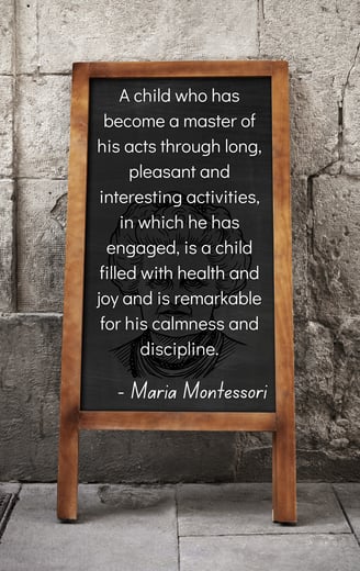 Maria Montessori Quote