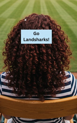 Cheer on your team with a Billboard Barrette