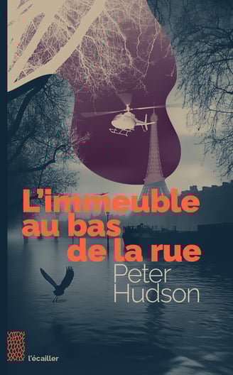 couverture du livre l'immeuble au bas de la rue par peter hudson