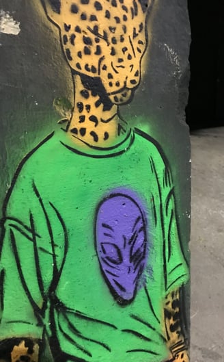 Onças humanas de Sérgio Astral embelezam a arte urbana nas ruas de Barra do Garças.