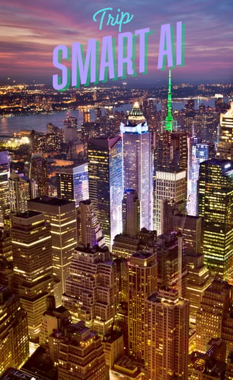 a city skyline with a city skyline view of a city in New York