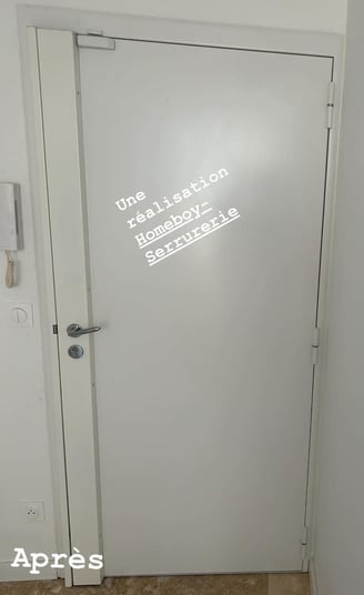 Blindage enveloppant avec serrure 5 points Ermetis de Picard Serrures installé à Marseille 13005.