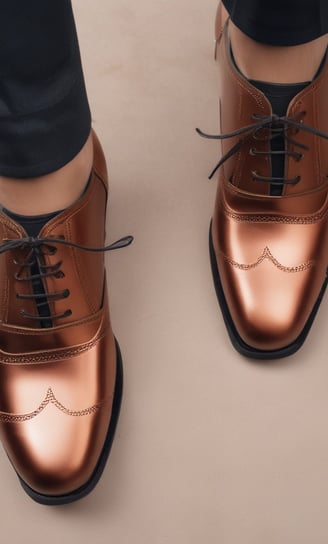A dark brown leather shoe with detailed stitching and a thick, textured sole is prominently displayed. The shoe features a lace-up design and visible branding on the inner sole. The sole's pattern is visible, showcasing its rugged, slip-resistant design.