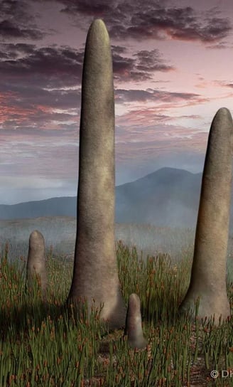 Prototaxites, un champignon de 8 mètres de haut qui précédait les arbres