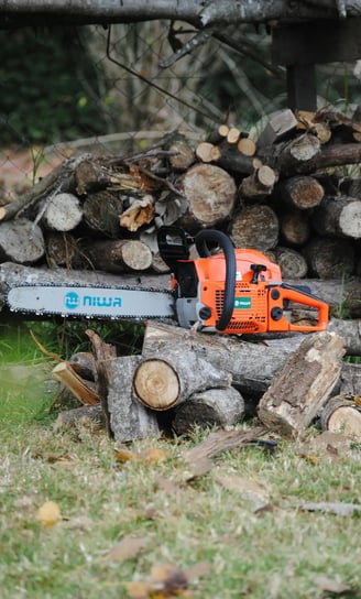 tree felling services