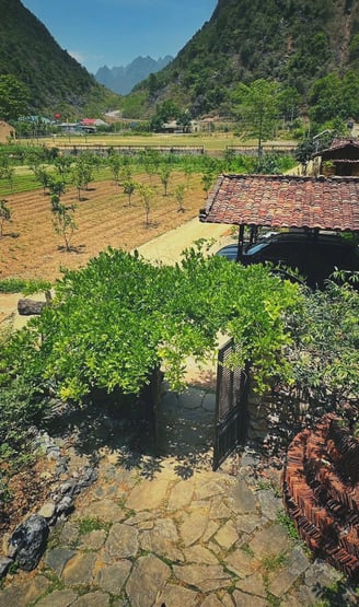 Nông trại sạch của Mế Farmstay