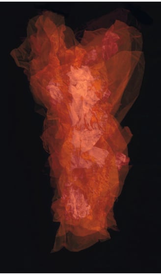 an abstract photo composition