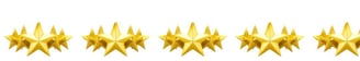 Customer Success is about making the client happy with your service