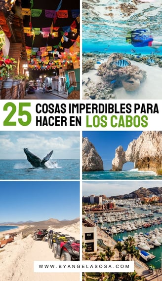 25 Cosas imperdibles para hacer en tu viaje a Los Cabos