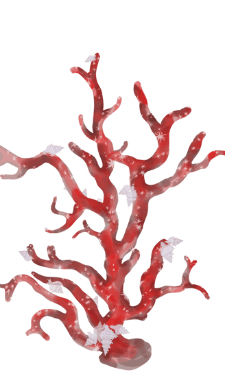 Red coral with white snail, Adobe fresco drawing 