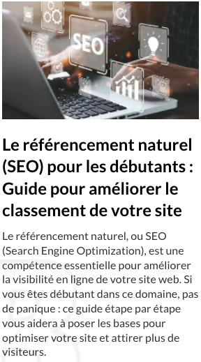 Référencement naturel SEO, le guide pour débutant