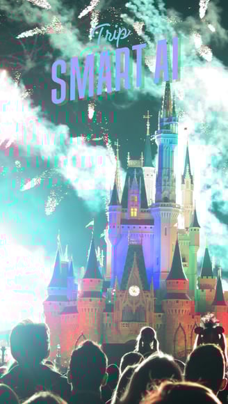 a Magic Kingdom castle with fireworks and people watching fireworks