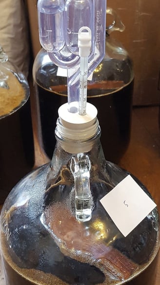 Fermentation of molasses