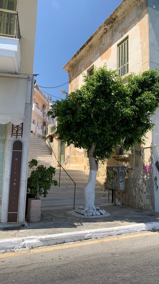 Kreta Agios Nikolaos Baum