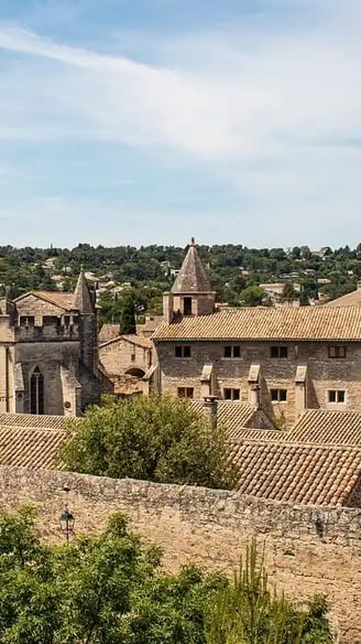 monastère de De Villeneuve à Avignon