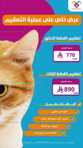 عرض خاص ومميز على عملية تعقيم القط