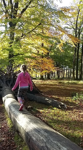 Trees