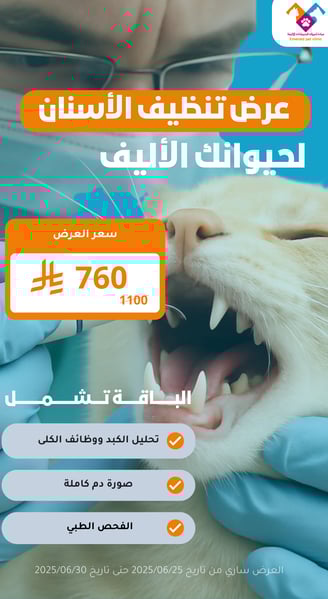 عرض تنظيف الأسنان الاحترافي لصحة فم أليفك