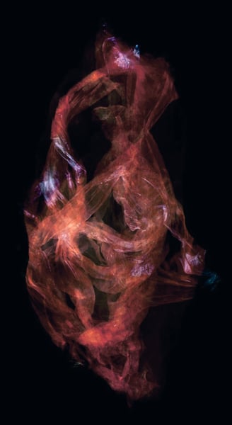 an abstract photo composition