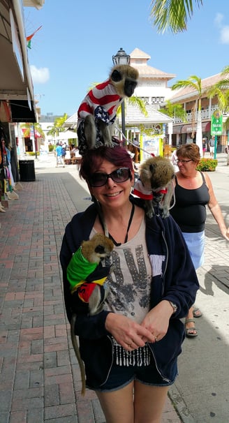 Monkeys on Lady Michelle in St. Kitts