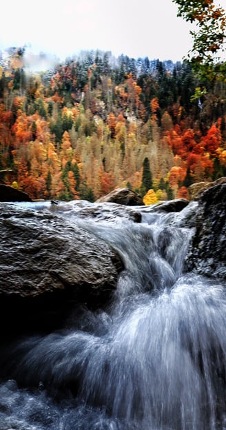 Feldsee herbst-/winterlich