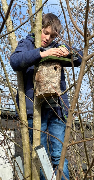 Philipp Geisler hängt einen Vogelnistkasten auf