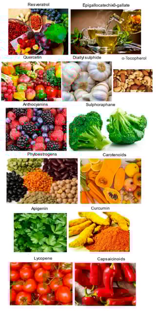 Alimentation pour se protéger du cancer