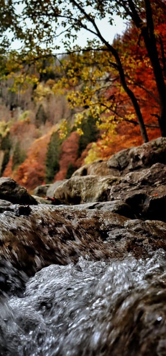 Feldsee herbstlich