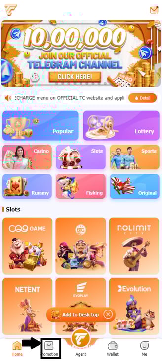 Promotion and bonuses in TC Lottery