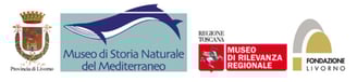 Vai al Museo di Storia Naturale del Mediterraneo