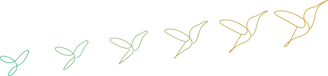 représentation graphique de l'évolution d'un projet, par l'envol du colibri