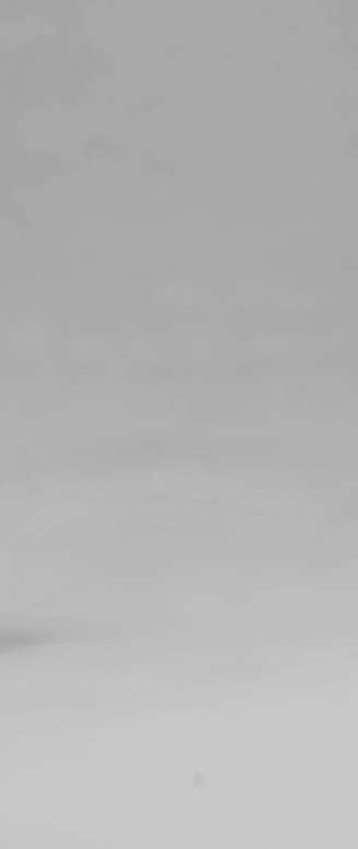 Fondo gris