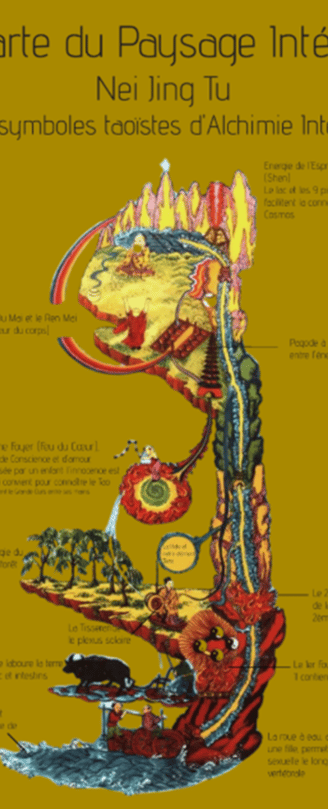 La carte du Paysage Intérieur Nei Jing Tu