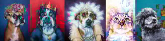 Collection of whimsical pet portraits by New Orleans artist Melissa Vandiver.