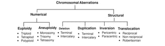 chromosomal aberrations