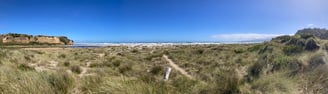 Te Wae Wae Bay