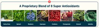 Nagano Tonic Super 8 Antioxidants