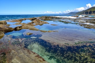 The Figure 8 Pools in Royal National Park