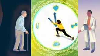 potential lifespan-extending effects of fasting