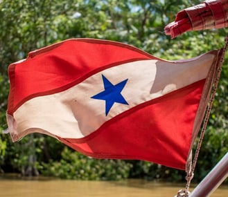 BANDEIRA DO PARÁ NA AMAZÔNIA