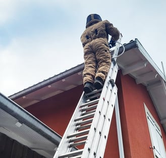 professionnel exterminateur frelon et guêpe au Taillan Médoc