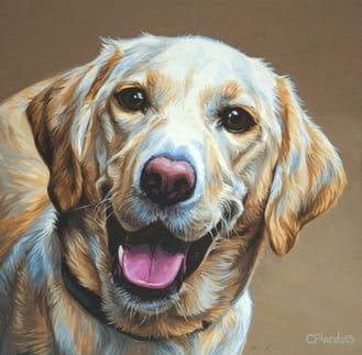 a portrait of a yellow labrador dog with a big smile on its face