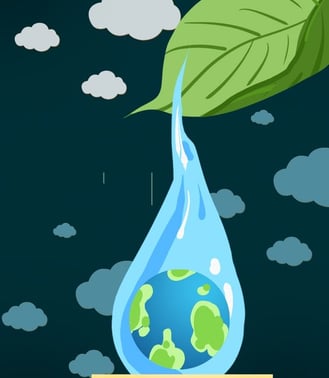 Conserve Water