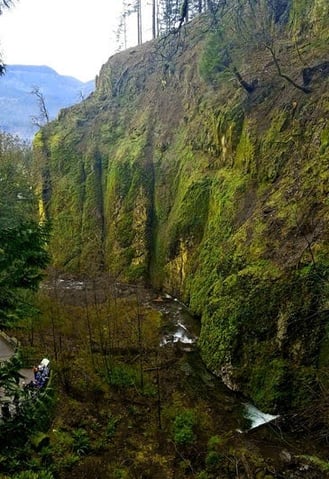 Columbia River Gorge Oregon - a canyon view from the Multnomah Falls trail